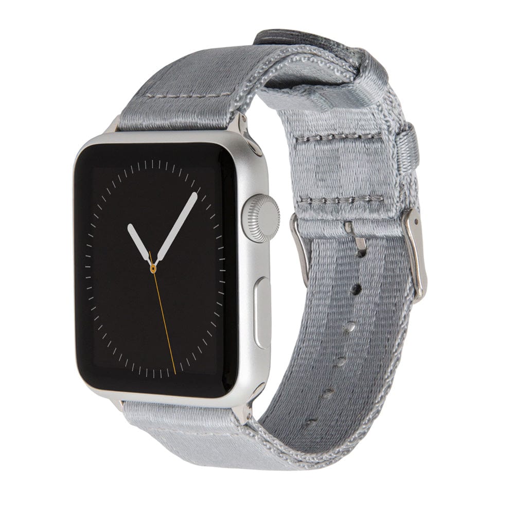Apple Watch Seat Belt Nylon - Gray/Stainless, ARC-AWSB-GRYS42, ARC-AWSB-GRYS38