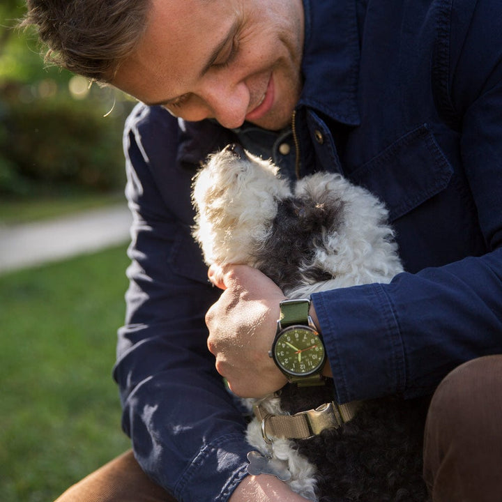 NATO - Olive, ARC-NATO2-OLV24, ARC-NATO2-OLV22, ARC-NATO2-OLV20, ARC-NATO2-OLV18